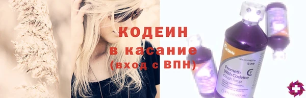 прущие грибы Абинск