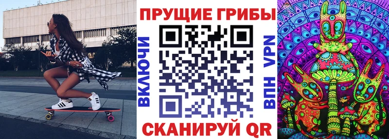 Псилоцибиновые грибы Cubensis Энгельс